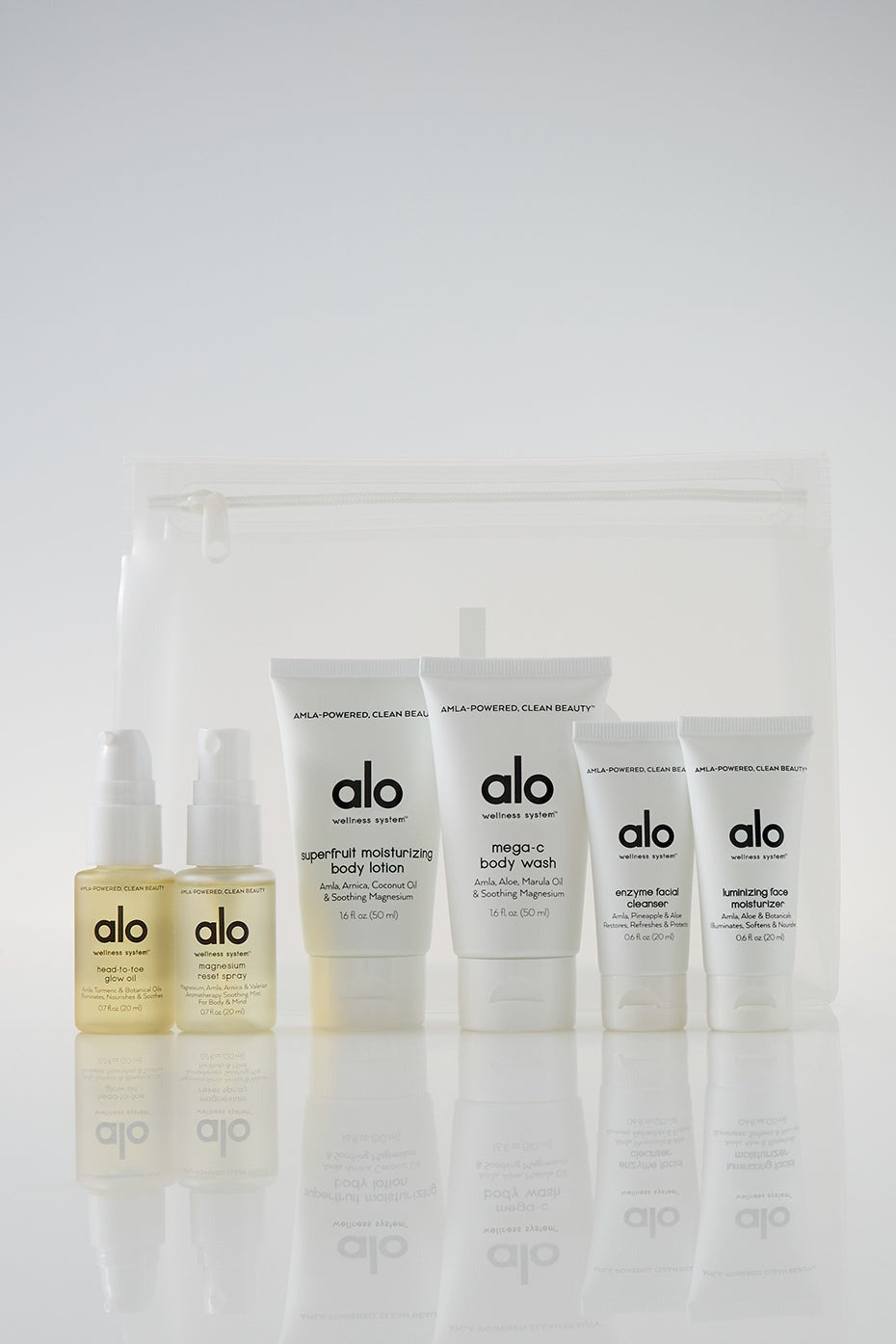 Wellness System Discovery Set