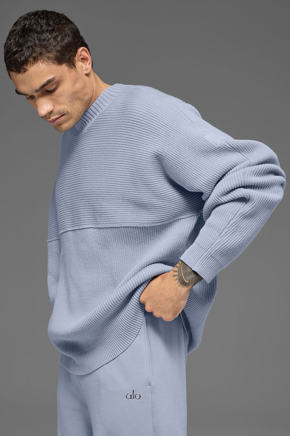Domain Shift Rib Knit Sweater Crew - Winter Frost